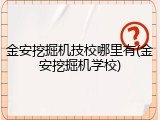 金安挖掘机技校哪里有(金安挖掘机学校)