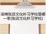 淄博张店文化补习学校是哪一家(张店文化补习学校)