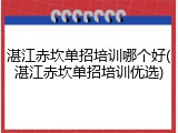 湛江赤坎单招培训哪个好(湛江赤坎单招培训优选)