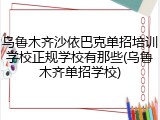 乌鲁木齐沙依巴克单招培训学校正规学校有那些(乌鲁木齐单招学校)