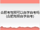 合肥考驾照可以自学自考吗(合肥驾照自学自考)