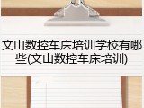 文山数控车床培训学校有哪些(文山数控车床培训)