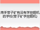 鹰手营子矿有没有学挖掘机的学校(营子矿学挖掘机)