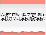 六枝特在哪可以学挖机哪个学校好(六枝学挖机好学校)