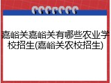 嘉峪关嘉峪关有哪些农业学校招生(嘉峪关农校招生)