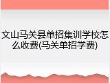 文山马关县单招集训学校怎么收费(马关单招学费)