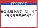 青岛北高中数学一对一补习(青岛高中数学1对1)