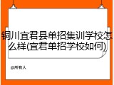 铜川宜君县单招集训学校怎么样(宜君单招学校如何)