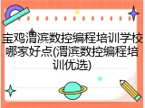 宝鸡渭滨数控编程培训学校哪家好点(渭滨数控编程培训优选)