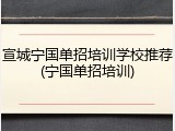 宣城宁国单招培训学校推荐(宁国单招培训)