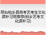 邢台柏乡县高考艺考生文化课补习班推荐(柏乡艺考文化课补习)
