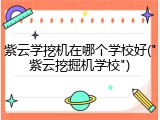 紫云学挖机在哪个学校好("紫云挖掘机学校")