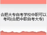 合肥大专自考学校中职可以考吗(合肥中职自考大专)