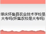 肇庆怀集县农业技术学校是大专吗(怀集农校是大专吗)