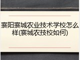 襄阳襄城农业技术学校怎么样(襄城农技校如何)