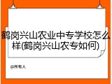 鹤岗兴山农业中专学校怎么样(鹤岗兴山农专如何)