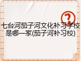 七台河茄子河文化补习学校是哪一家(茄子河补习校)