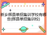 新乡辉县单招集训学校有哪些(辉县单招集训校)