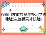 双鸭山友谊县高考补习学校地址(友谊县高补校址)
