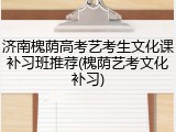 济南槐荫高考艺考生文化课补习班推荐(槐荫艺考文化补习)