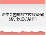 洛宁县挖掘机学校哪家强(洛宁挖掘机培训)