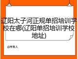 辽阳太子河正规单招培训学校在哪(辽阳单招培训学校地址)
