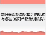 咸阳秦都找单招集训的机构有哪些(咸阳单招集训机构)