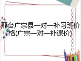 邢台广宗县一对一补习班价格(广宗一对一补课价)