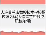 大连普兰店数控技术学校职校怎么样(大连普兰店数控职校如何)
