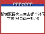 聊城冠县高三生去哪个补习学校(冠县高三补习)