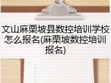 文山麻栗坡县数控培训学校怎么报名(麻栗坡数控培训报名)