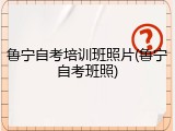 鲁宁自考培训班照片(鲁宁自考班照)