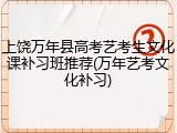 上饶万年县高考艺考生文化课补习班推荐(万年艺考文化补习)