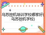 乌苏挖机培训学校哪家好(乌苏挖机学校)