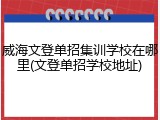 威海文登单招集训学校在哪里(文登单招学校地址)