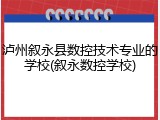 泸州叙永县数控技术专业的学校(叙永数控学校)