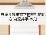 自流井哪里有学挖掘机的地方(自流井学挖机)