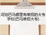河池巴马哪里有单招的大专学校(巴马单招大专)