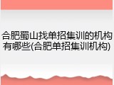 合肥蜀山找单招集训的机构有哪些(合肥单招集训机构)