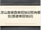 凉山喜德县单招培训班有哪些(喜德单招培训)