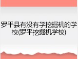 罗平县有没有学挖掘机的学校(罗平挖掘机学校)