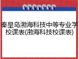 秦皇岛渤海科技中等专业学校课表(渤海科技校课表)