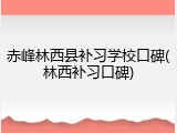 赤峰林西县补习学校口碑(林西补习口碑)