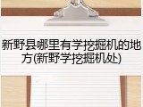 新野县哪里有学挖掘机的地方(新野学挖掘机处)
