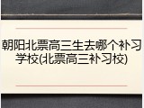 朝阳北票高三生去哪个补习学校(北票高三补习校)