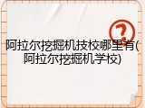 阿拉尔挖掘机技校哪里有(阿拉尔挖掘机学校)