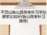 平顶山鲁山县高考补习学校哪家比较好(鲁山高考补习推荐)