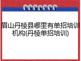 眉山丹棱县哪里有单招培训机构(丹棱单招培训)