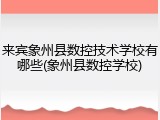 来宾象州县数控技术学校有哪些(象州县数控学校)