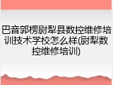 巴音郭楞尉犁县数控维修培训技术学校怎么样(尉犁数控维修培训)